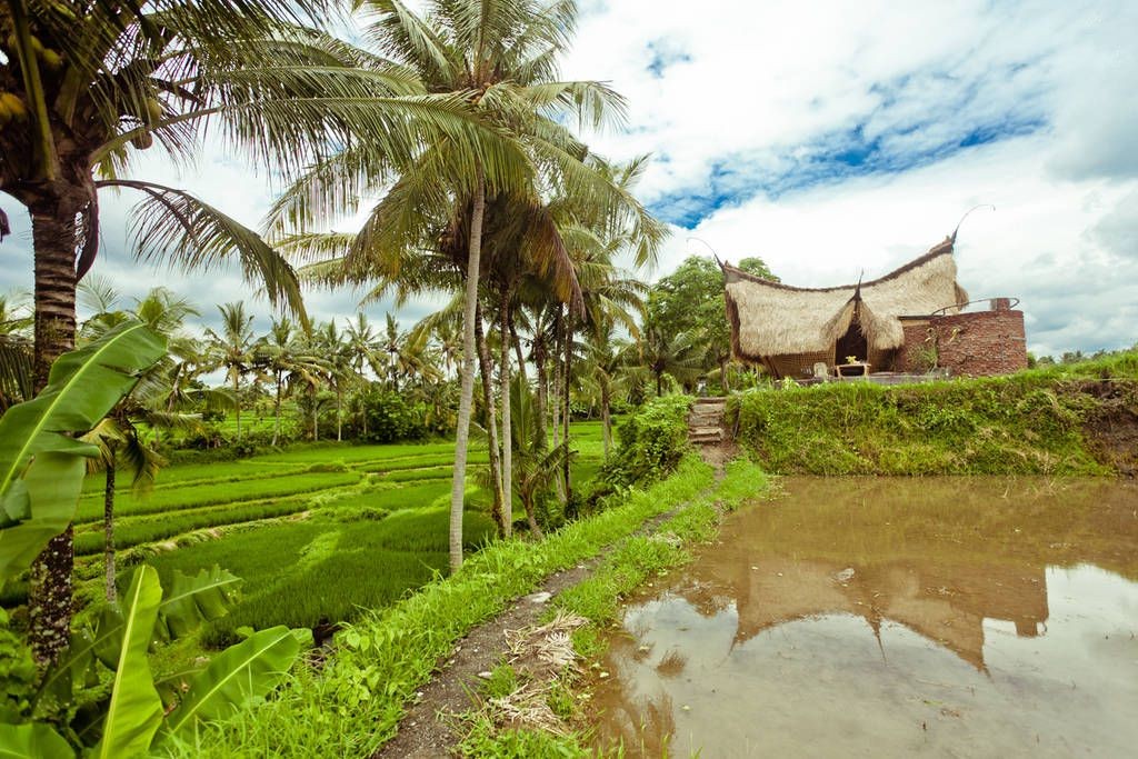 Bamboo Eco House Rice Fields-inpainted