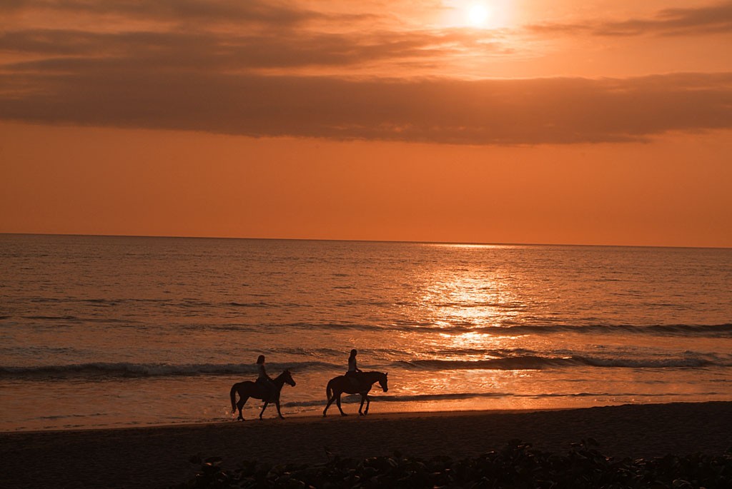 samaya-beach-horseback-the-samaya-bali