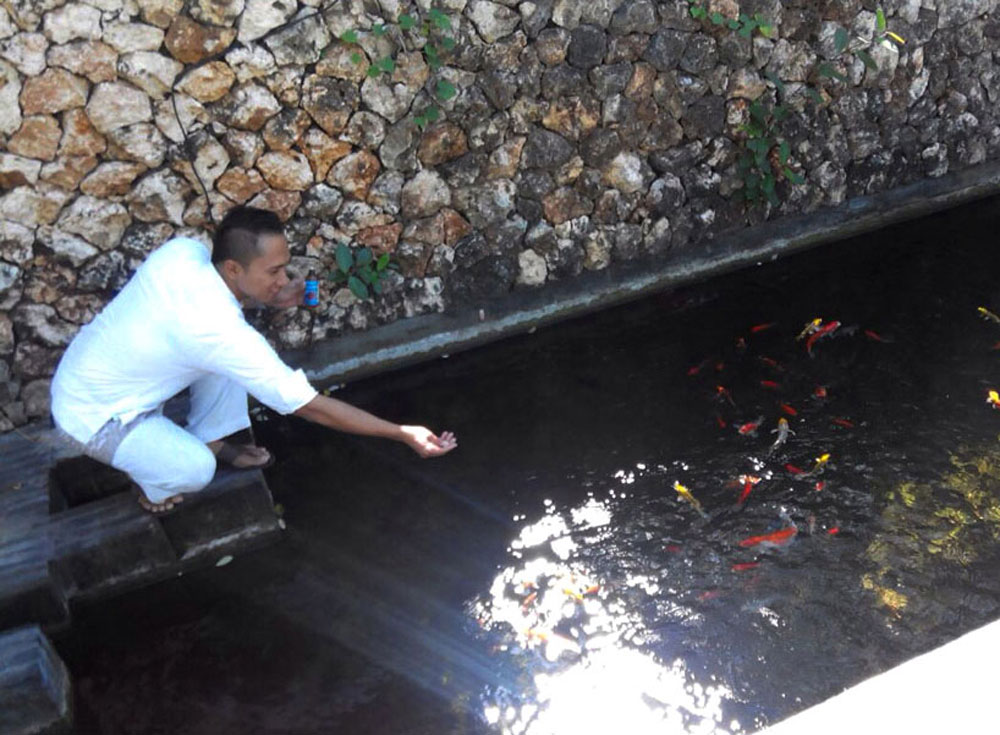 For every visit of the guest, we arrange his favorite fishes, frogs and small turtles in his villa pond.
