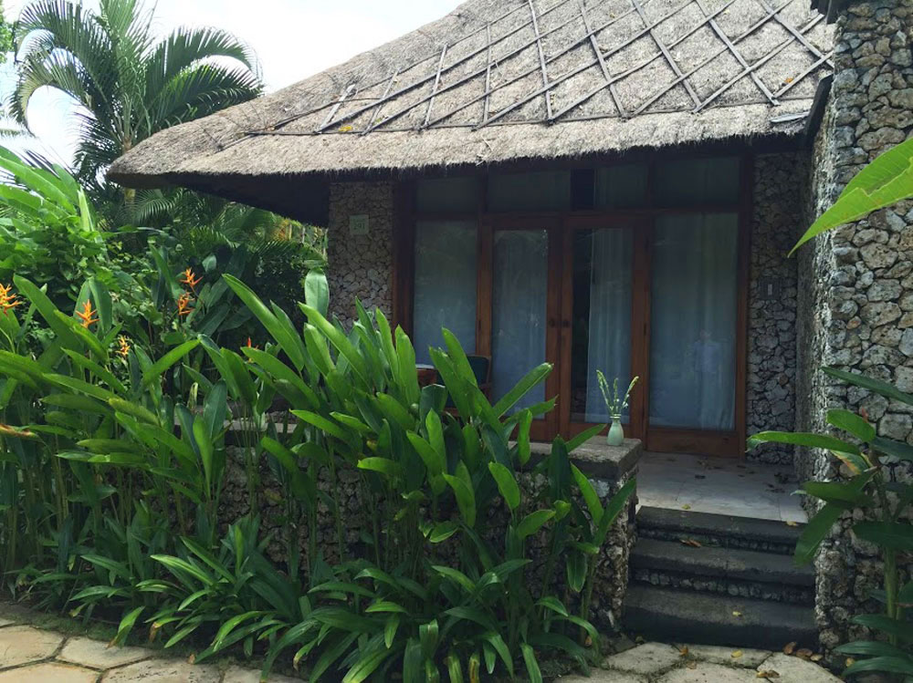 Nicollo’s coconut palm tree is planted on the lawn right in front of this villa, where the guest always stays at.