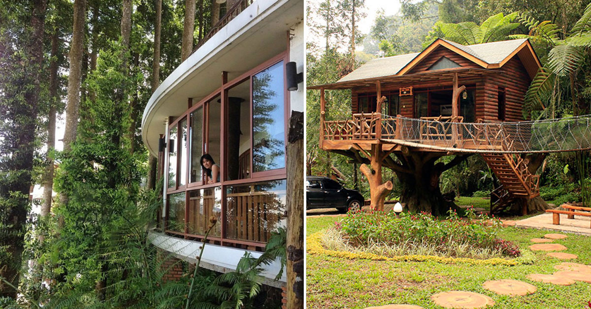 14 hotel indah di Bogor / Puncak untuk sensasi menginap di tengah hutan