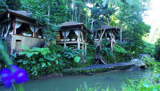 20 hotel dengan pemandangan hutan hijau yang cantik di Bali
