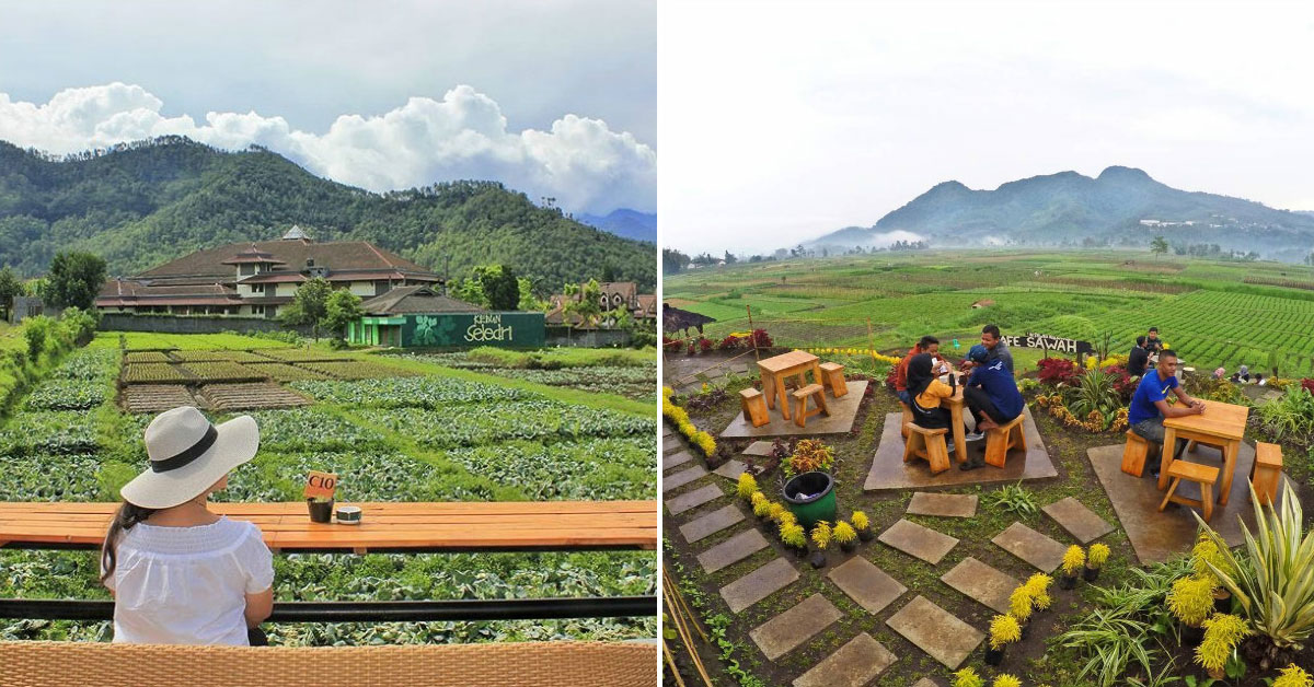 13 Caf Restoran romantis di Malang dengan pemandangan 