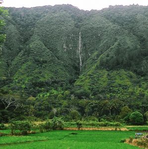 Tempat Wisata Alam Di Medan Yang Akan Membuat Liburan Anda Sempurna