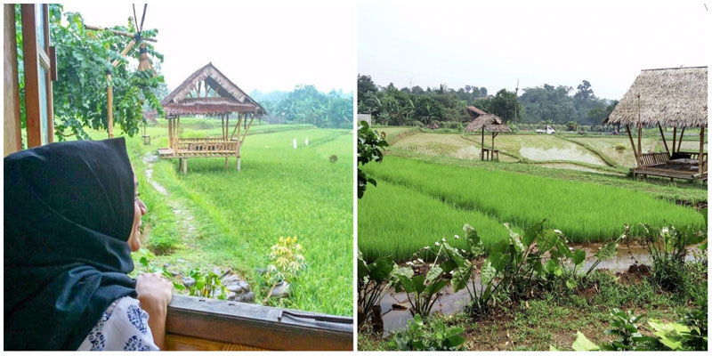 9 Tempat makan di Bogor dengan suasana pedesaan nan asri