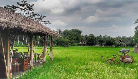 15 Tempat makan di Magelang yang menawarkan suasana pedesaan dan tradisional