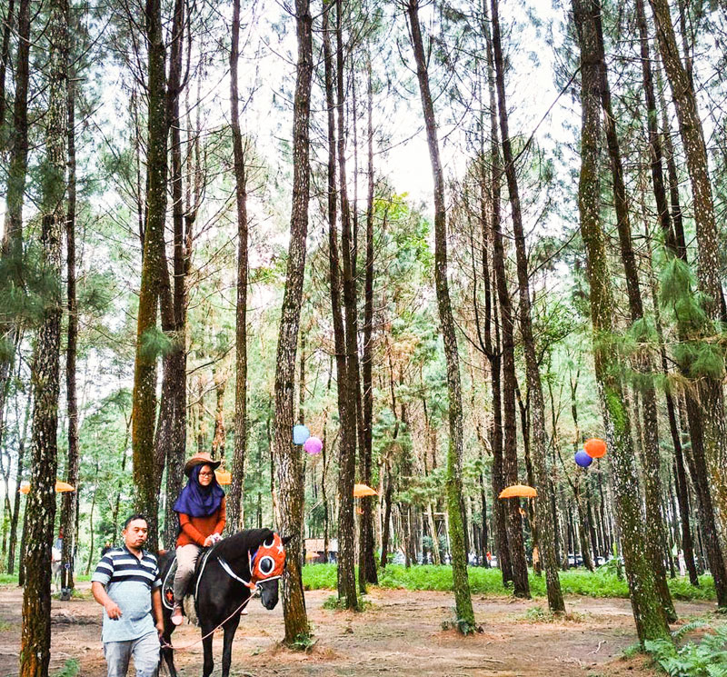 28 tempat wisata tersembunyi di Banyuwangi, destinasi Jawa