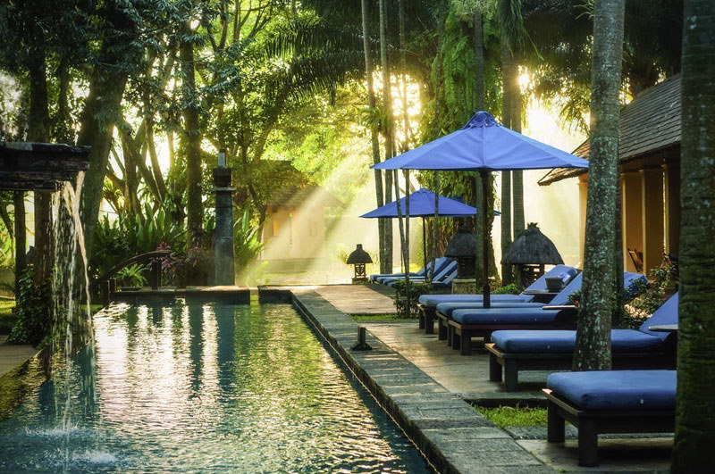 19 hotel indah di Bogor / Puncak untuk sensasi menginap di tengah hutan