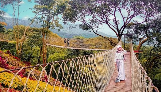 Cuci mata di spot Instagramable tengah hutan di Bogor – Jembatan Gantung Bukit Halimun