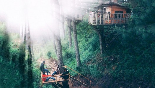 8 amazing treehouses in Indonesia you can actually stay in