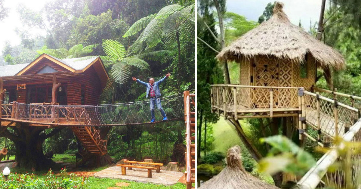 8 amazing treehouses in Indonesia you can actually stay in