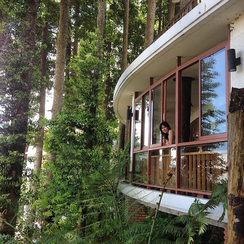 11 beautiful rainforest hotels in Bogor Puncak for a family getaway