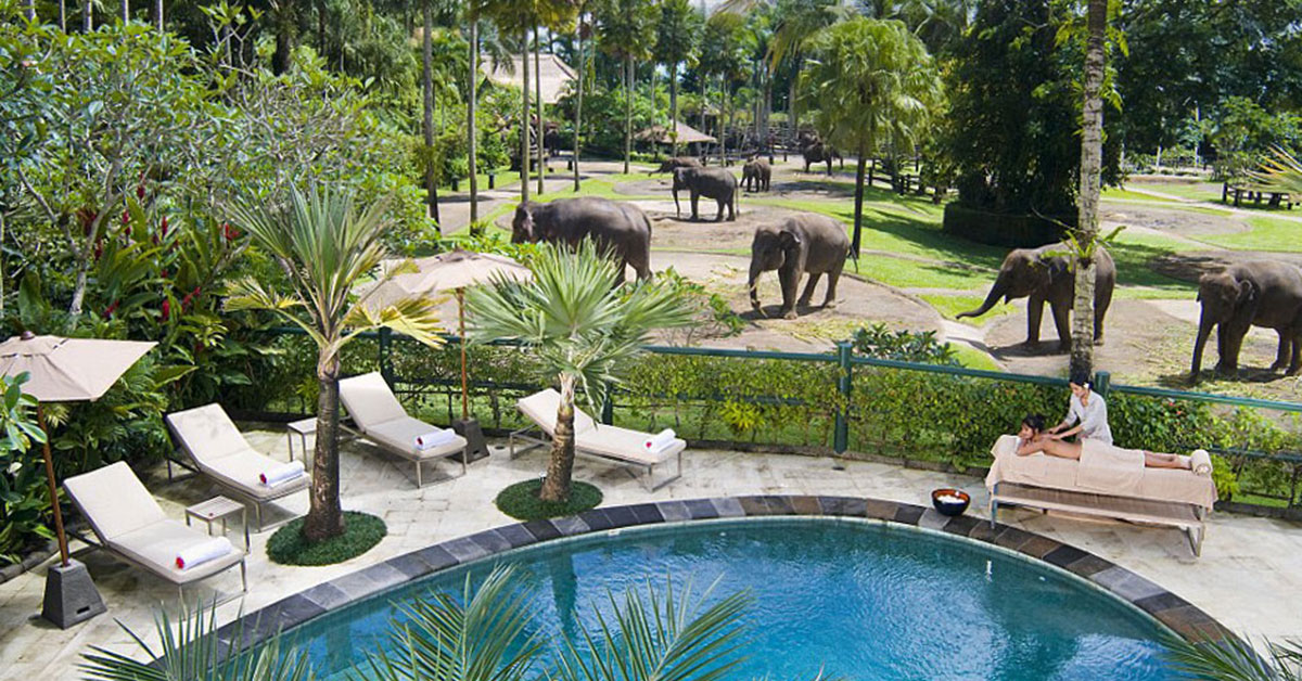 Elephant Safari Park Lodge Бали. Kenran Resort Ubud. Kenran Resort Ubud by soscomma 5*. Mason Elephant Park & Lodge.