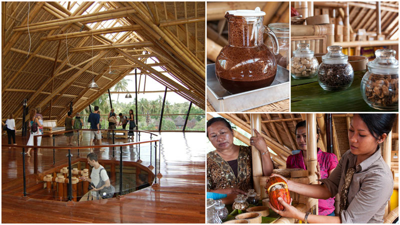 1-k-bamboo-chocolate-farm-via-life-in-travels.ru-4