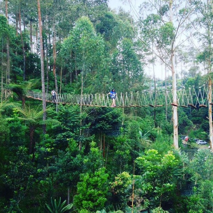 21 hidden nature attractions around Bandung you need to visit at least once