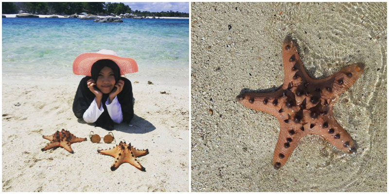 starfish-Pulau-Batu-Berlayar-via-gegea_,-riaaa_andriyani