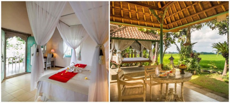 10 hotels in Bali to enjoy paddy fields view from your room under $50