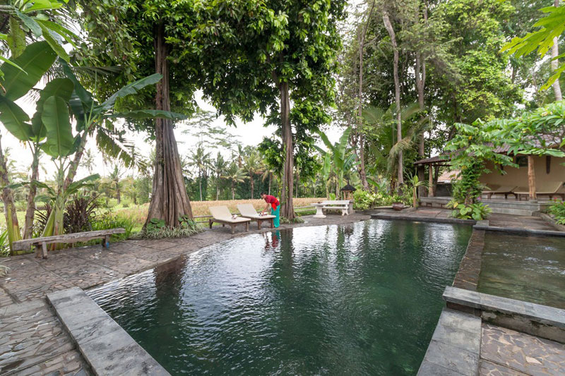 5-4-outdoor-pool-with-rice-paddy-view