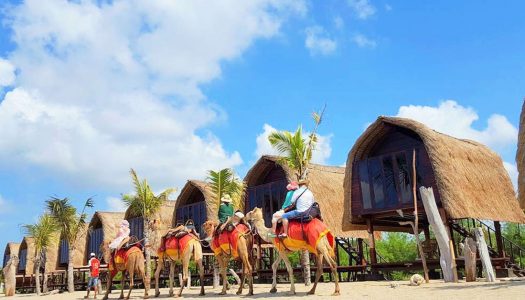 11 fun family things to do in Sanur