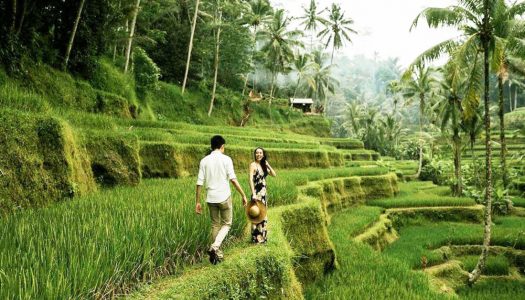 4D3N Romantic couple itinerary to Ubud (Bali) with scenic natural attractions, restaurants and unique experiences!
