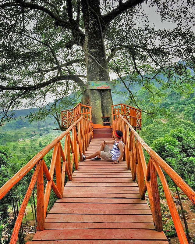 24 Instagrammable Natural Attractions In Bogor That Will Change Your Mind About The City