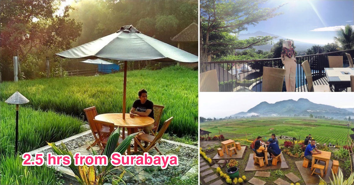 13 Restaurants In Malang Where You Can Dine With Stunning Views