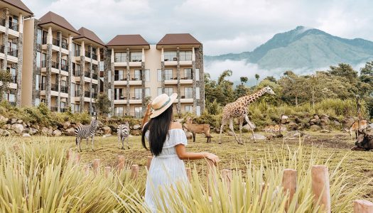 Sleep with giraffes: 10 Reasons you must visit Baobab Safari Resort with your family!