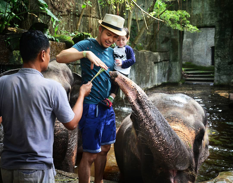, Book a 3D2N Family Stay @ Mara River Safari Lodge Bali