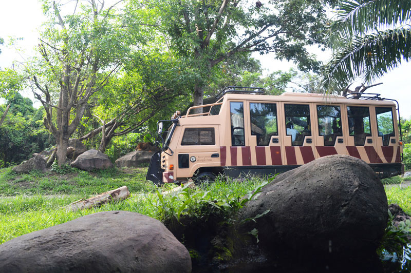 3. Bus for day safari