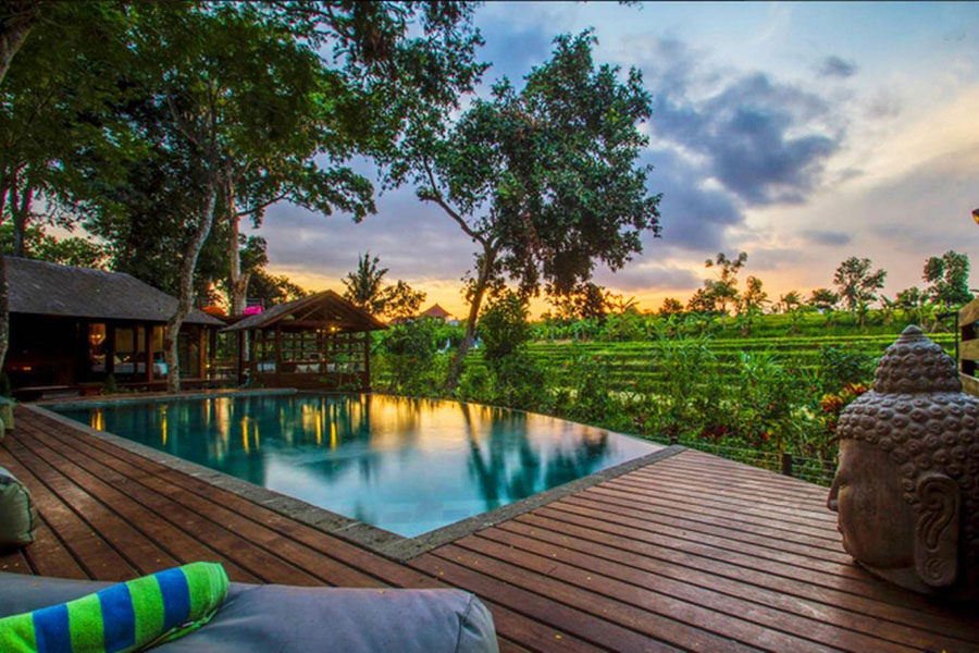 8 Airbnb  Bali  villas  with gorgeous infinity pools for 