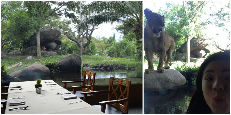 2. Dining with the Lions collage
