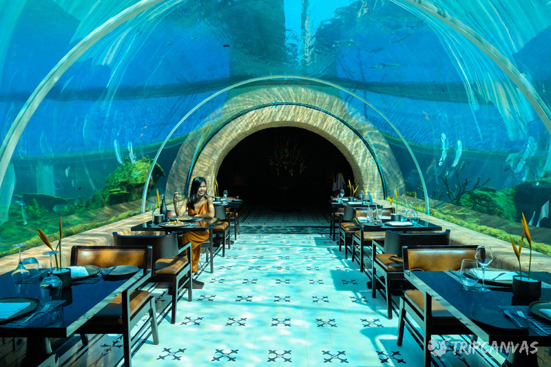 Image result for bali underwater restaurant