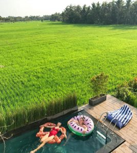 This unique stay in Bali lets you sleep in the middle of a vast rice ...