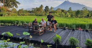 Rumah Jembarati: Find Ubud in Jogja! You can enjoy endless views of Mount Merapi at this nature retreat that also has a garden cafe by the rice paddy fields