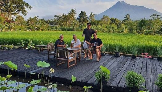 Rumah Jembarati: Find Ubud in Jogja! You can enjoy endless views of Mount Merapi at this nature retreat that also has a garden cafe by the rice paddy fields