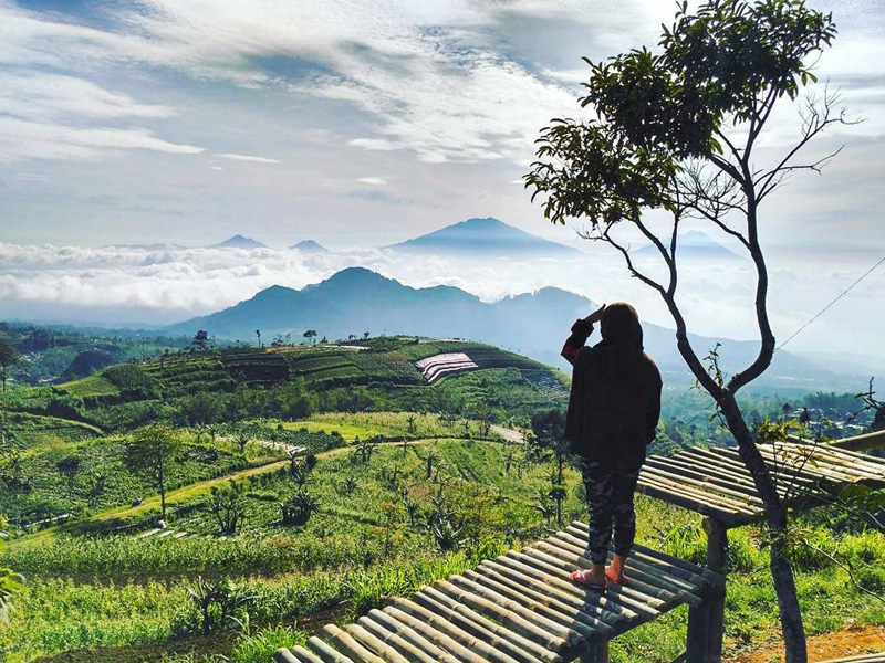 , 11个日惹Yogyakarta & 馬格朗Magelang看云海与赏日出的山景攻略